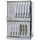 Multiservice Switches